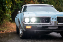 Load image into Gallery viewer, 04b006962ac6043a79cfbb84969f334df02ff36a.jpg