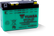 Yuasa 6N12A-2D Conventional 6-Volt Battery