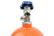 07004nos_20.jpg