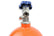 07005nos_17.jpg