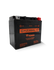 Yuasa GYZ20HL-C High Performance Maintenance Free AGM 12-Volt Battery