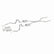 MagnaFlow Sys Cat-Back 68-72 GM A-Body Chevelle et