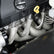 10501-P03.jpg