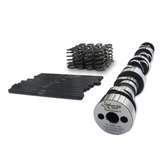 Texas Speed TSP Beehive Spring Cam Kit for Cathedral Port Heads (LS1/LS2/LS6) TSP-CamKit1