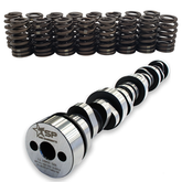 Texas Speed TSP Low Lift Cathedral Cam Kit TSP-CamKit4