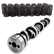 Texas Speed TSP Low Lift Cathedral Cam Kit TSP-CamKit4