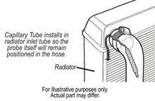 Load image into Gallery viewer, 16769-Illustration.jpg