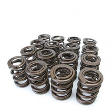 Load image into Gallery viewer, Skunk2 Tuner Series Honda/Acura (K20/K24/F20C/F22C) DOHC VTEC Alpha Valve Spring Set (Dual Springs)