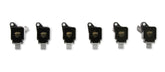 Ignition Coil 2017-2020 Ford Ecoboost 3.5L Engines, Black, 6-Pack An Economical, Direct Replacement Coil For Your Ecoboost From The Ignition Experts At ACCEL ACCEL