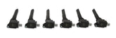 Ignition Coil 2017-2020 Ford Ecoboost 3.5L Engines, Black, 6-Pack An Economical, Direct Replacement Coil For Your Ecoboost From The Ignition Experts At ACCEL ACCEL