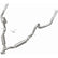 15717_Back.jpg