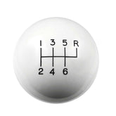 163005619315.jpg