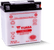 Yuasa YB10L-B2 Yumicron 12-Volt Battery