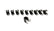 17195_WEBL.jpg