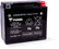 Yuasa YTX20L Maintenance Free AGM 12-Volt Battery