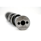 Texas Speed TSP Gen V "Chopacabra" Truck Camshaft TSP-CHOPacabra-LT