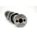 Texas Speed TSP Gen V "Chopacabra" Truck Camshaft TSP-CHOPacabra-LT