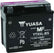 Yuasa YTX5L-BS Maintenance Free AGM 12-Volt Battery w/Bottle