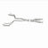 MagnaFlow 12 Jeep Grand Cherokee V8 6.4L Dual Split Rear Exit Stainless Cat Back Performance Exhaust