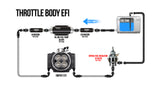 Holley EFI 15-90 PSI Fuel Regulator 8AN Boost Reference 1:1, Gauge and Fittings 12-895KIT