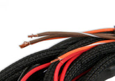 Main Harness Replacment For Part Number 7766 Complete Main Wiring Harness Replacement For The Ntk Wide Band O2 Module Part Number 7766 MSD Ignition