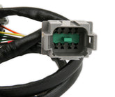 Sensor 2, Replacement Harness For Part Number 7766 Replacment Wiring Harness For Sensor 2 Of The Ntk Wide Band O2 Module Part Number 7766 MSD Ignition