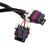 MSD 6Ls Ignition Adapter Harness Harness, LS, 24X/1X, Rear Cam Sensor MSD Ignition