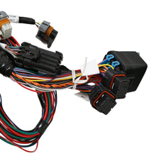 Load image into Gallery viewer, 23814a4a30cbb128c530bd39de506a68020f4ba9.jpg