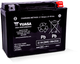 Yuasa YTX24HL Maintenance Free AGM 12-Volt Battery
