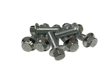 Load image into Gallery viewer, Speed Engineering Zinc Exhaust Manifold Bolts (Header Bolts) 26-1065