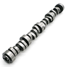 Load image into Gallery viewer, Texas Speed TSP F-117 Stealth LS Camshaft TSP-F117-LS