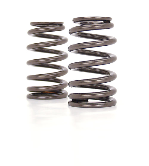 Valve Springs