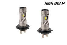 Load image into Gallery viewer, User 1