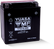 Yuasa YTX16-BS Maintenance Free AGM 12-Volt Battery w/Bottle