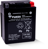 Yuasa YTX14AHL Maintenance Free AGM 12-Volt Battery