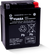 Yuasa YTX14AHL Maintenance Free AGM 12-Volt Battery