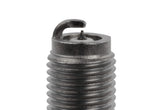 z1004081_003.jpg