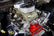 LS Carbureted Manifold 2x4 Dual Plane GM LS1/LS2/LS6 Carbureted 2x4150 Dual Plane Intake Manifold, LS Gen 3 LS1/LS2/LS6 Engines Holley