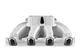 Single Plane EFI 4500 Split-Design Race Intake Manifold- GM LS1/LS2/LS6 Cast Finish with Fuel Rails Holley