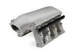 Holley Gen III Hemi Hi-Ram EFI Manifold 300-650