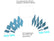 300260crosssectionalareas18228.jpg