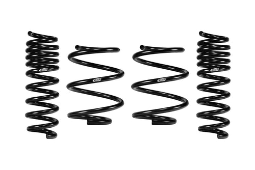 Lowering Springs
