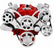CVF Racing 350-WRAPTOR Wraptor All-Inclusive Serpentine System, Polished or C3