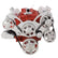 CVF Racing 350-WRAPTOR Wraptor All-Inclusive Serpentine System, Polished or C3