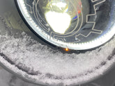 Photo - Close Up