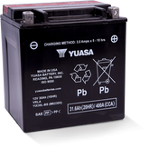 Yuasa YIX30L-BS-PW High Performance Maintenance Free AGM 12-Volt Battery w/Bottle