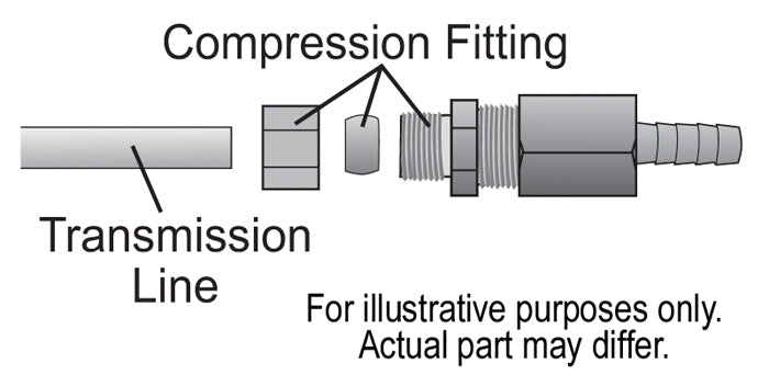 13031-Illustration.jpg