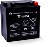 Yuasa YIX30L Maintenance Free AGM 12-Volt Battery