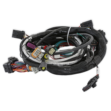 Load image into Gallery viewer, 3ba8b11ab5106ec59d92ffd901a9685a20220a0b.png