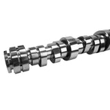 COMP Cams Godzilla Stage 1 Hydraulic Roller 405-201-17